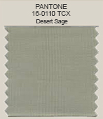 Pantone Desert Sage