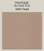 Pantone Warm Taupe