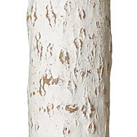 Antique White finish La Lune Collection